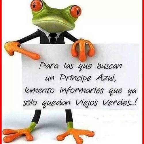 Foto extra 2