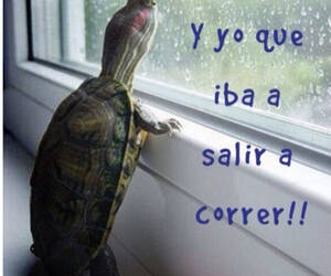 Yomismo