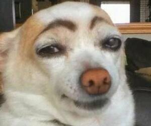 Sioban