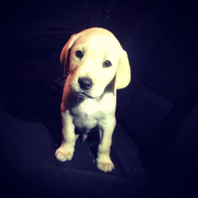 Foto de perfil de Sergio