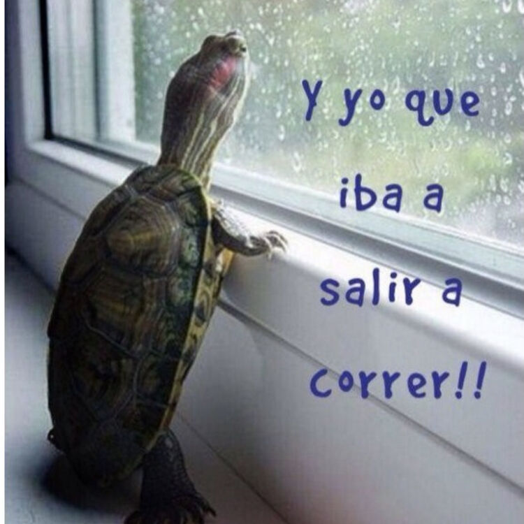 Foto de perfil de Yomismo
