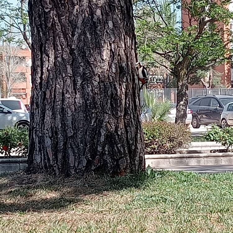 Foto de perfil de Ana