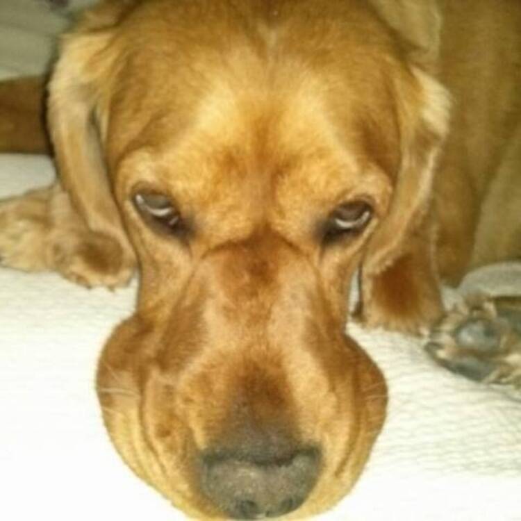 Foto de perfil de maria