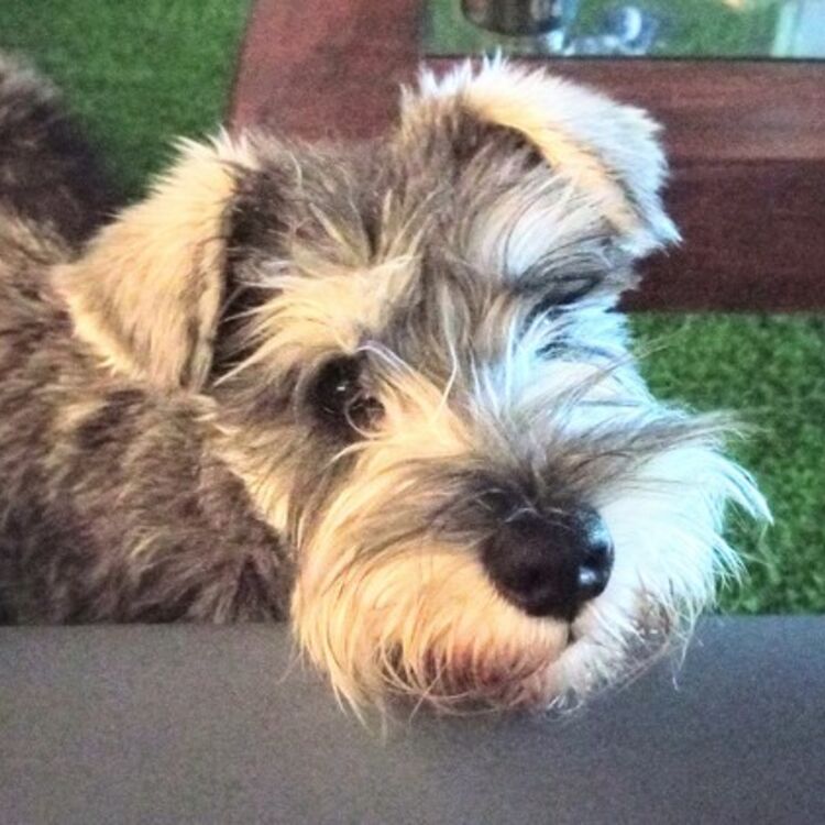 Foto de perfil de Esko