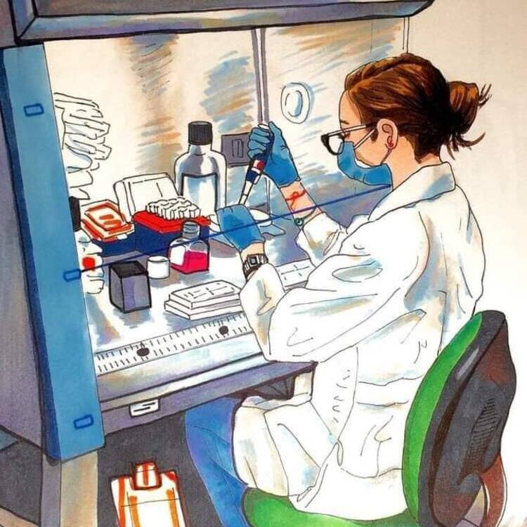 Foto de perfil de Sara