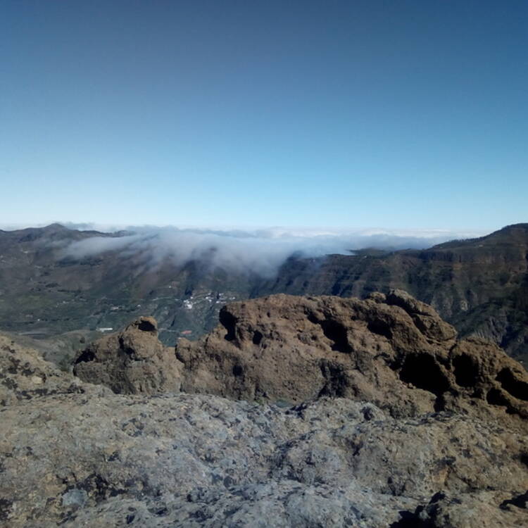 Foto de perfil de Yolanda