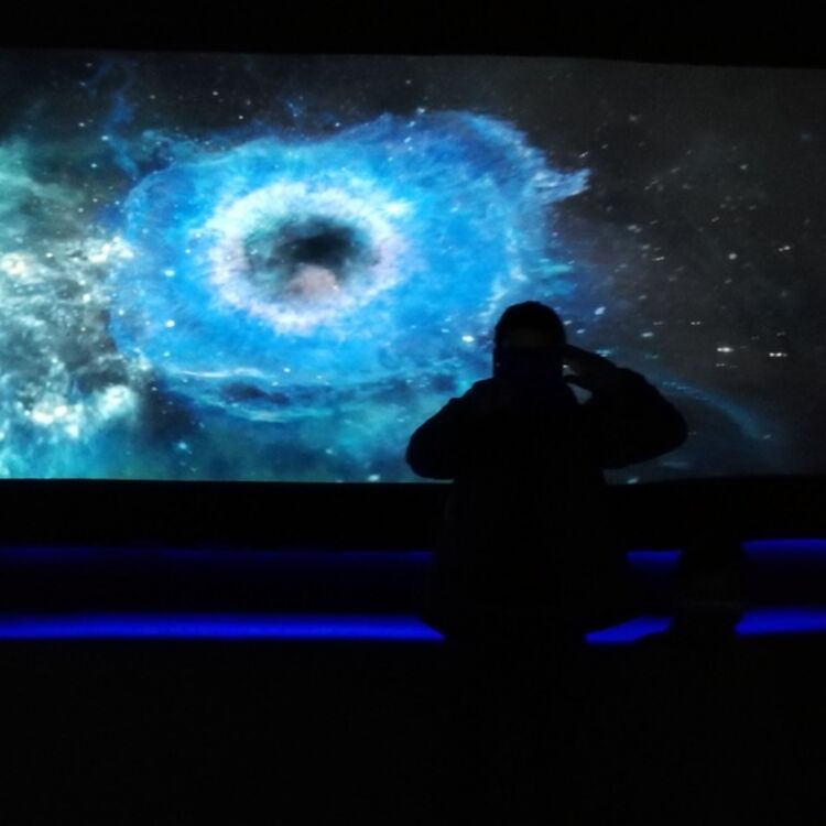 Foto de perfil de David