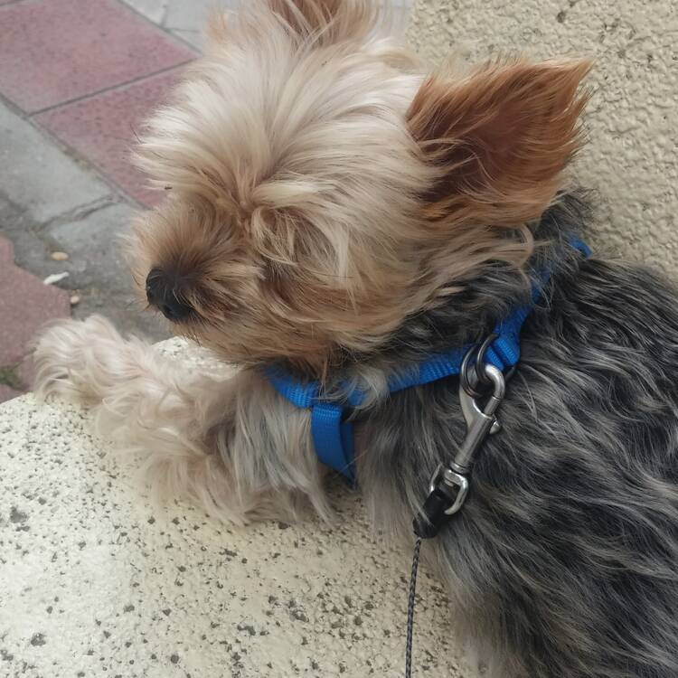 Foto de perfil de mila