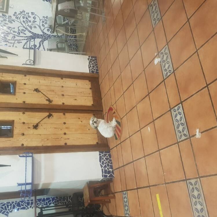 Foto de perfil de Gerardo
