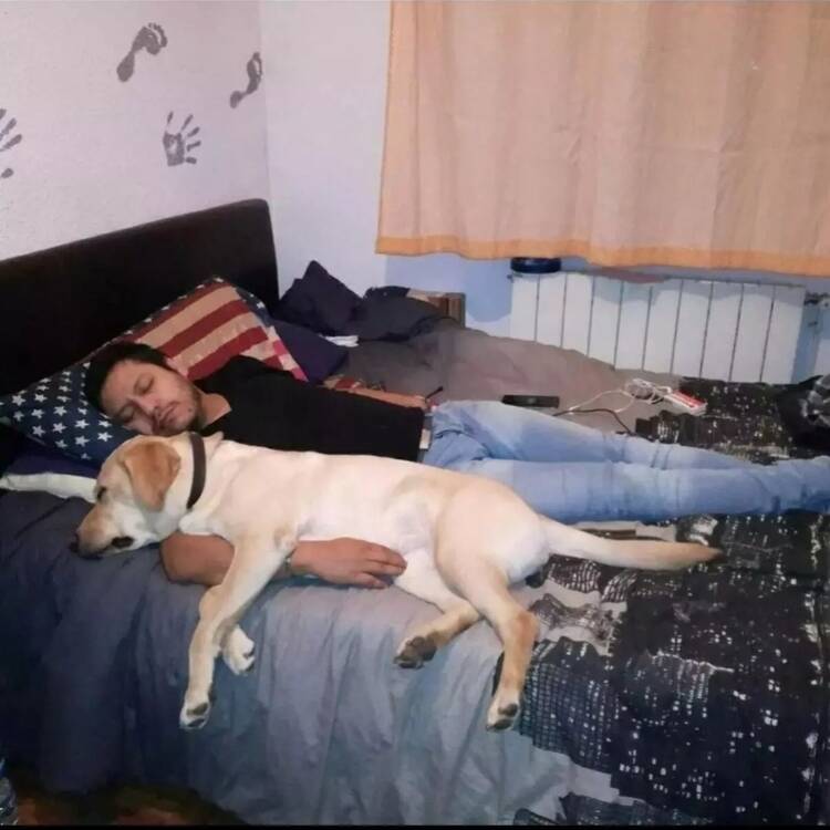 Foto de perfil de Saulo