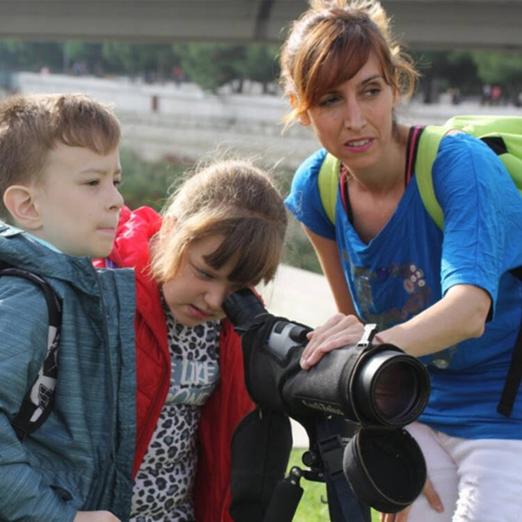 Foto de perfil de www.CormenzanaTours.es