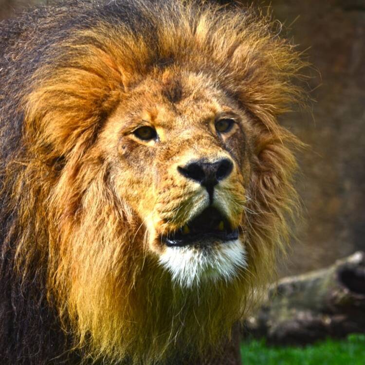 Foto de perfil de Hugo