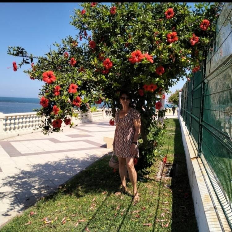Foto de perfil de Marisa