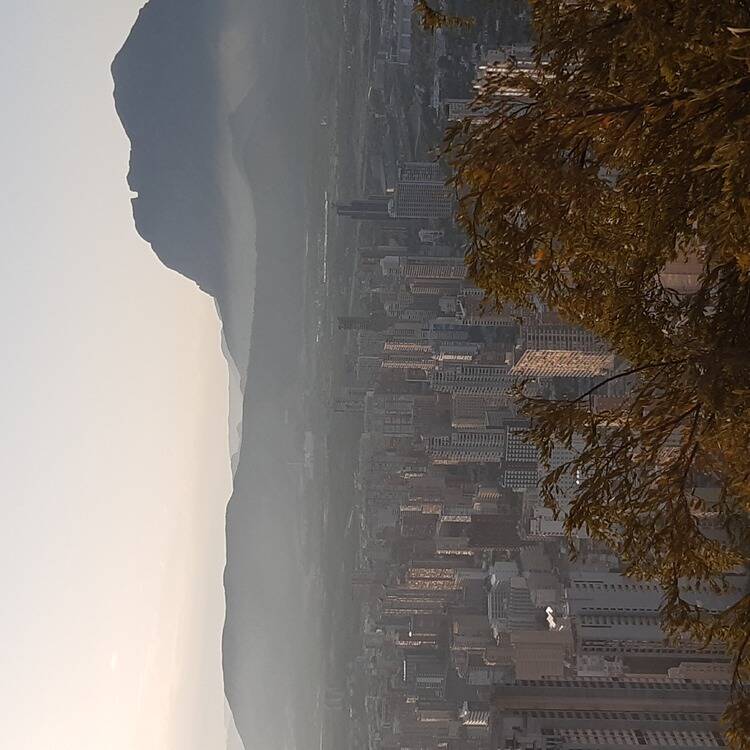 Foto de perfil de Antonio