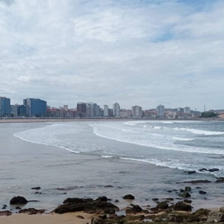 Foto de perfil de Jara