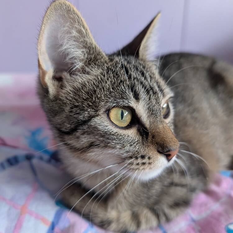 Foto de perfil de Cristina