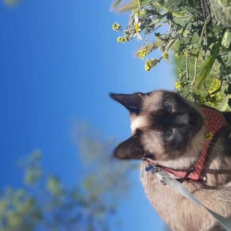 Foto de perfil de NOAnina