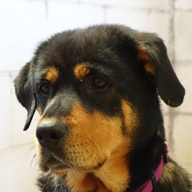 Foto de perfil de merce