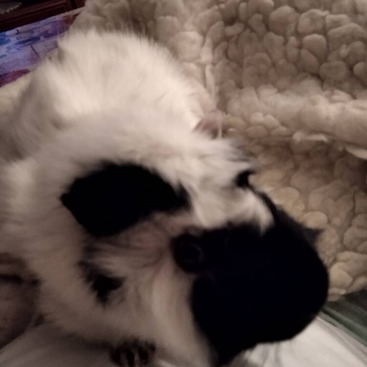 Foto de perfil de Marisol