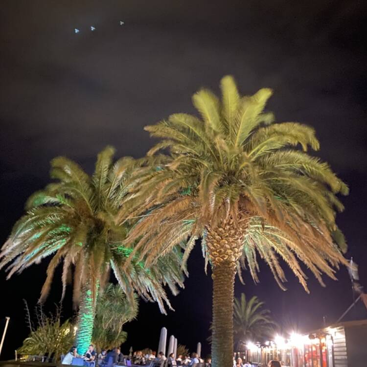 Foto de perfil de Ruben