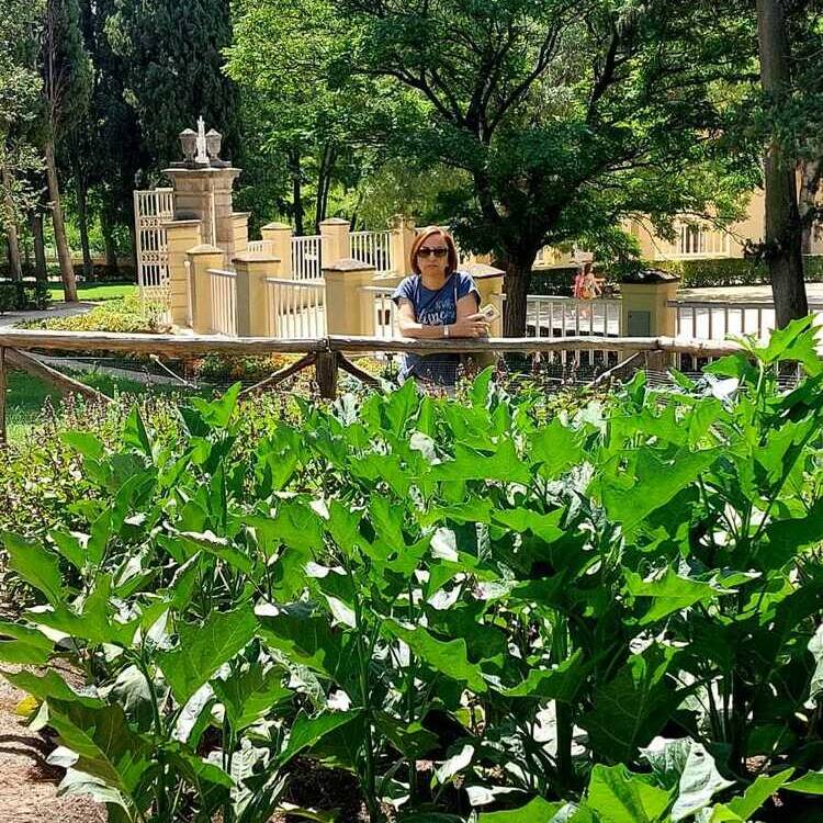 Foto de perfil de Emeri