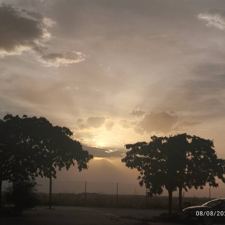 Foto de perfil de Marían