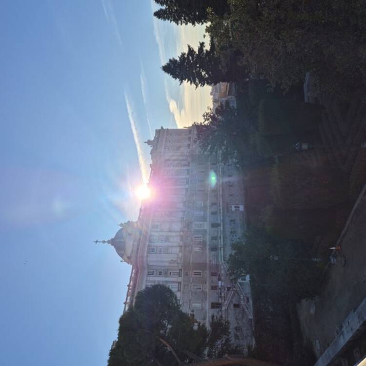 Foto de perfil de ana